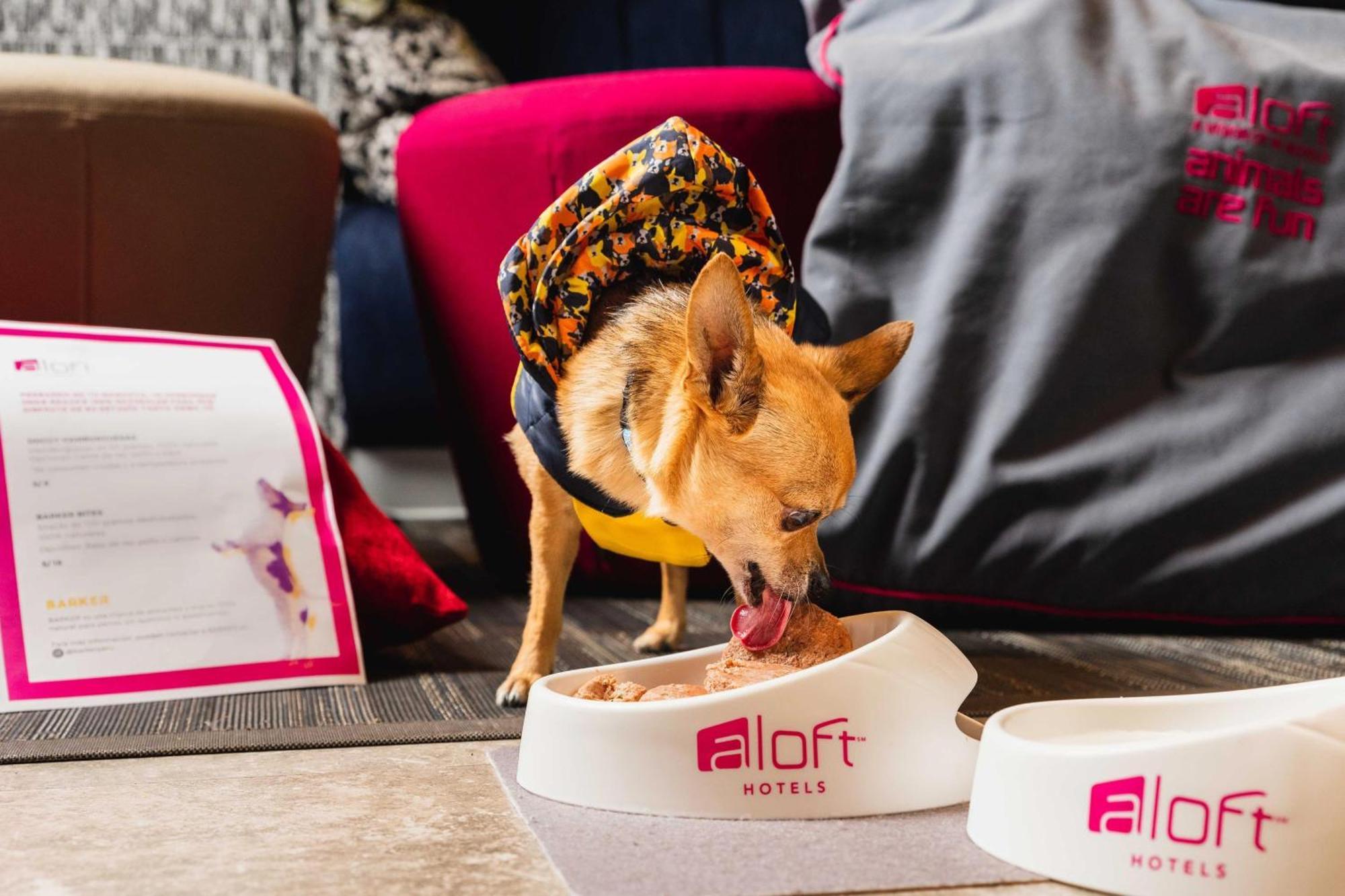 Aloft Lima Miraflores Buitenkant foto